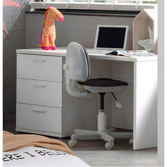 Письменный стол Helga цена и информация | Компьютерные, письменные столы | kaup24.ee