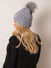 RUE PARIS Hall talvemüts hind ja info | Naiste mütsid ja peapaelad | kaup24.ee