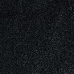 Diivan Rosa, 2-kohaline, kaetud nahaga, musta värvi jalad цена и информация | Диваны | kaup24.ee