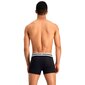 Meeste aluspüksid Puma Placed Logo Boxer 2P M 906519 03, 2 tk цена и информация | Meeste aluspesu | kaup24.ee