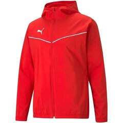 Куртка мужская Puma teamRise All Weather 657396 01 цена и информация | Мужские куртки | kaup24.ee