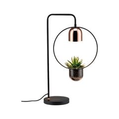 Lauavalgusti Paulmann Fanja 1-lamp Pildvalgusti must/vask Ilma lambita, max 20 W GU10 цена и информация | Настольные лампы | kaup24.ee