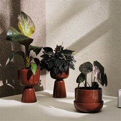 Iittala Lillepott Nappula 230x155mm, pruun hind ja info | Dekoratiivsed lillepotid | kaup24.ee
