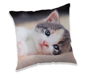 Dekoratiivpadi Kitten , 40 x 40 cm цена и информация | Декоративные подушки и наволочки | kaup24.ee