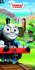 Пляжное полотенце Thomas and Friends 01, 70 x 140 cm цена и информация | Полотенца | kaup24.ee