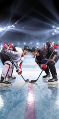 Пляжное полотенце Ice Hockey, 70 x 140 cm цена и информация | Полотенца | kaup24.ee