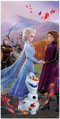 Пляжное полотенце Frozen 2 Wind, 70 x 140 cm цена и информация | Полотенца | kaup24.ee