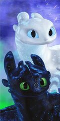 Пляжное полотенце How To Train Your Dragon Magic, 70 x 140 cm цена и информация | Полотенца | kaup24.ee