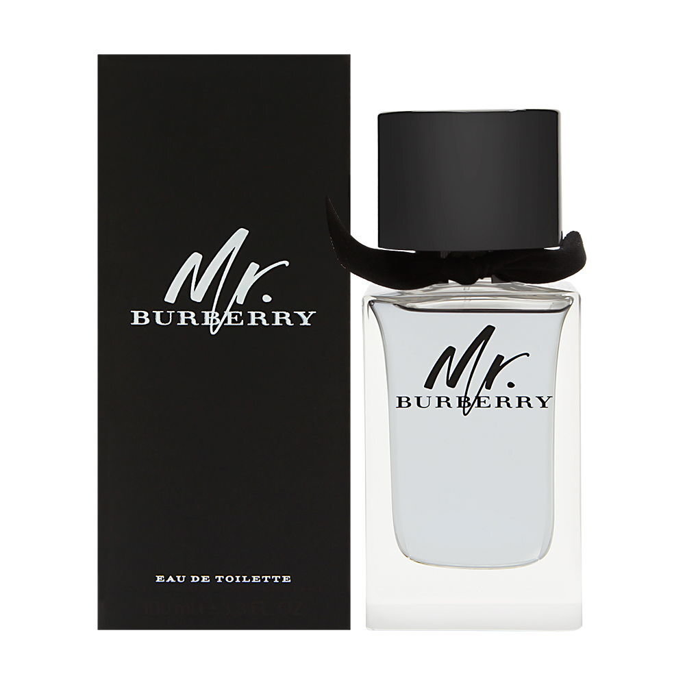 Meeste parfüüm Mr Burberry Burberry EDT: Maht - 100 ml цена и информация | Meeste parfüümid | kaup24.ee