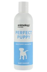 Нежный шампунь для щенков Animology Essentials Perfect Puppy, 250 мл цена и информация | Косметические средства для животных | kaup24.ee