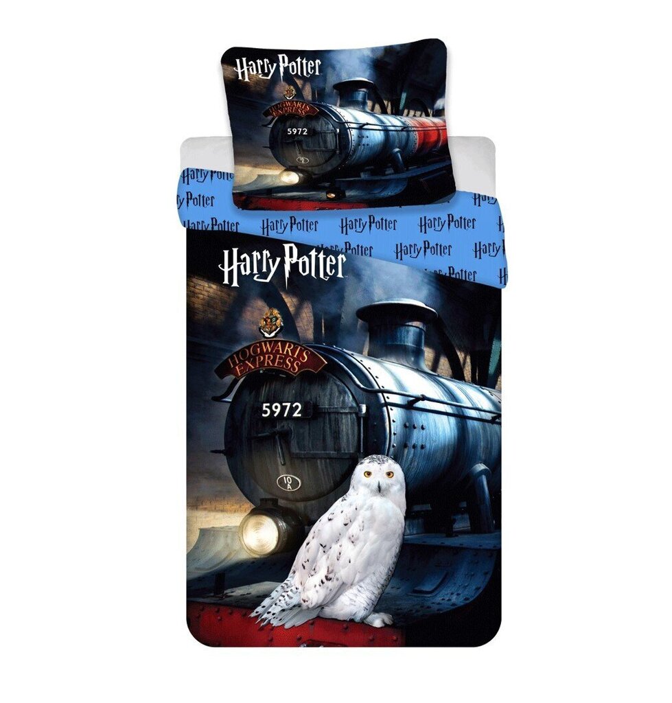 Voodipesukomplekt Harry Potter 111 HP, 140 x 200 cm + padjapüür 70 x 90 cm цена и информация | Voodipesu | kaup24.ee