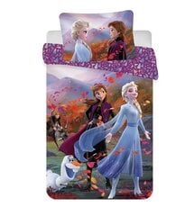 Beebi voodipesukomplekt Frozen 2 Wind Baby, 100 x 135 cm + padjapüür 40 x 60 cm цена и информация | Детское постельное бельё | kaup24.ee