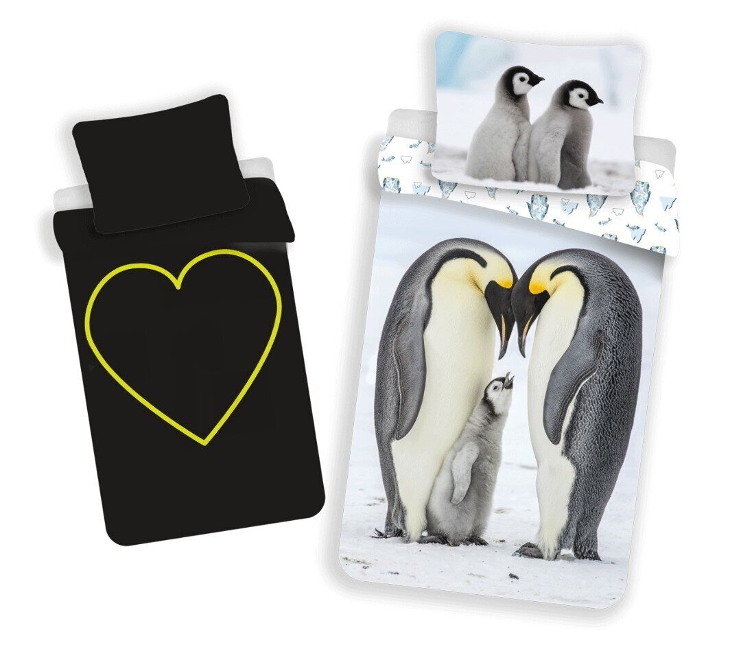 Voodipesukomplekt Penguins with glowing effect, 140 x 200 cm + padjapüür 70 x 90 cm hind ja info | Beebide ja laste voodipesu | kaup24.ee