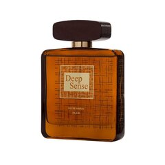 Parfüüm meestele Deep Sense EDP, 100 ml цена и информация | Мужские духи | kaup24.ee