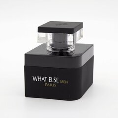 Ароматизированная вода для мужчин What else EDP, 100 ml цена и информация | Мужские духи | kaup24.ee