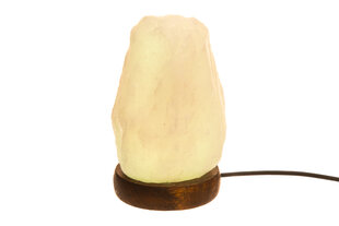 4Living настольная лампа из кристаллов соли Multicolor цена и информация | Настольные лампы | kaup24.ee