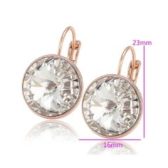 Elegantsed Swarovski kristallidega kõrvarõngad цена и информация | Серьги | kaup24.ee