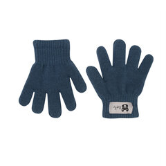 Перчатки утепленные детские Rak R-011DB, синий цена и информация | Зимняя одежда для детей | kaup24.ee