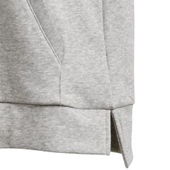 Poiste džemper Adidas Essentials Commercial Linear JR DY2973 47238 цена и информация | Свитеры, жилетки, пиджаки для мальчиков | kaup24.ee