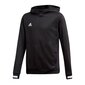 Poiste džemper Adidas Team 19 Hoody JR DW6871, must цена и информация | Poiste kampsunid, vestid ja jakid | kaup24.ee