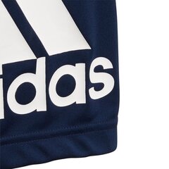 Poiste lühikesed spordipüksid Adidas JR Equip Junior DV2931 48307 hind ja info | Poiste lühikesed püksid | kaup24.ee
