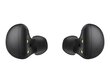 Samsung Galaxy Buds 2, Graphite SM-R177NZKAEUD цена и информация | Kõrvaklapid | kaup24.ee