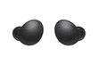 Samsung Galaxy Buds 2, Graphite SM-R177NZKAEUD цена и информация | Kõrvaklapid | kaup24.ee