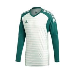 Meeste džemper Adidas AdiPro 18 GK M CV6352 (47846) цена и информация | Мужская спортивная одежда | kaup24.ee