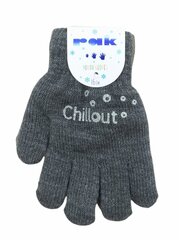 Перчатки утепленные для девочек Rak R-012A DB Chillout, темно-серый цена и информация | Зимняя одежда для детей | kaup24.ee