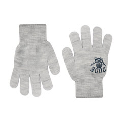 Перчатки утепленные для мальчиков Rak R-012DB Dude, светло-серый цена и информация | Зимняя одежда для детей | kaup24.ee