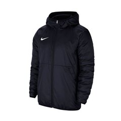 Женская куртка Nike Team Park 20 Fall W DC8039-451 цена и информация | Женские куртки | kaup24.ee