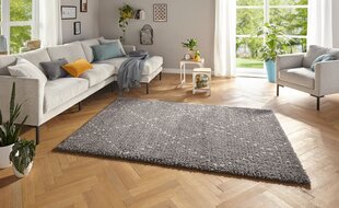 Mint Rugs vaip Retro Basay 80x150 cm hind ja info | Vaibad | kaup24.ee