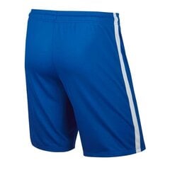 Спортивные шорты для мальчиков Nike JR League Knit JR 725990-463 (49433) цена и информация | Шорты для мальчиков | kaup24.ee