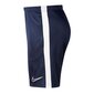 Lühikesed püksid meestele Nike Breathe Academy19 M BQ5810-451, sinine hind ja info | Meeste lühikesed püksid | kaup24.ee