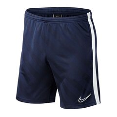 Lühikesed püksid meestele Nike Breathe Academy19 M BQ5810-451, sinine hind ja info | Meeste lühikesed püksid | kaup24.ee