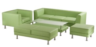 Трехместный диван Wood Garden Notre Dame, зеленый цена и информация | Диваны | kaup24.ee