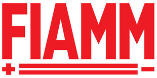 Aku FIAMM Titanium Pro 80Ah 730A 12V hind ja info | Akud | kaup24.ee