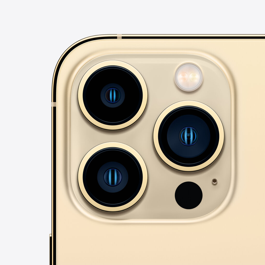 Apple iPhone 13 Pro 256GB Gold цена и информация | Telefonid | kaup24.ee