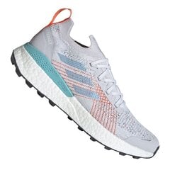 Мужские походные ботинки, Adidas Terrex Two Ultra Parley M EF7237 серые цена и информация | Мужские ботинки | kaup24.ee