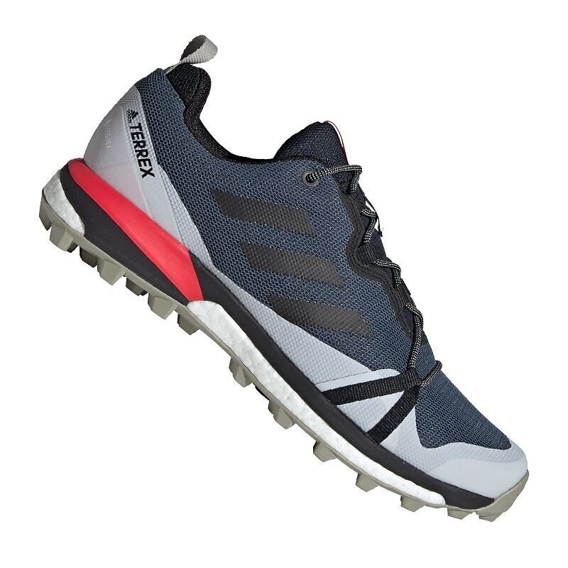 Matkajalatsid Adidas Terrex Skychaser LT GTX M EF2159 (52461) hind ja info | Spordi- ja vabaajajalatsid meestele | kaup24.ee