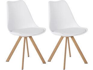 2-tooli komplekt Notio Living Lecce, valge hind ja info | Söögilaua toolid, köögitoolid | kaup24.ee