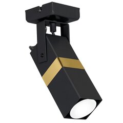 Milagro настенный светильник Vidar Black/Gold цена и информация | Потолочные светильники | kaup24.ee