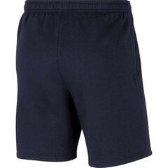 Lühikesed püksid meestele Nike Park 20 Short M CW6910-451, sinine цена и информация | Мужская спортивная одежда | kaup24.ee