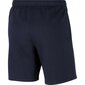 Lühikesed püksid meestele Nike Park 20 Short M CW6910-451, sinine hind ja info | Meeste spordiriided | kaup24.ee