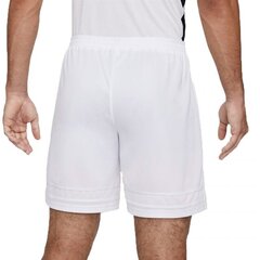 Nike спортивные шорты мужские Dri-FIT Academy M CW6107-100, белые цена и информация | Мужская спортивная одежда | kaup24.ee