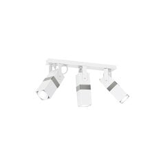 Milagro потолочный светильник Vidar White/Chrome цена и информация | Потолочные светильники | kaup24.ee