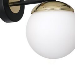 Milagro настольная лампа Sparta Black/Gold цена и информация | Настенный светильник Конусы | kaup24.ee