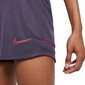 Naiste lühikesed püksid Nike Dri-FIT Academy W CV2649-573, lillad hind ja info | Naiste spordiriided | kaup24.ee