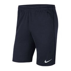 Мужские спортивные шорты Nike Dri-FIT Park 20 M CW6152-451, синие цена и информация | Мужская спортивная одежда | kaup24.ee