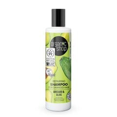 Juukseid taastav šampoon Organic Shop Moroccan Princess 280 ml цена и информация | Шампуни | kaup24.ee